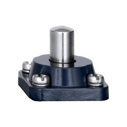 Schmersal 101058404 Position Switch Plunger Grey Cast Iron Galvanized Silver Contact