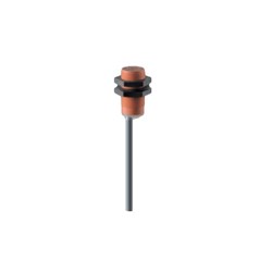 Schmersal 101093451 Inductive Proximity Switch 5m L Cable
