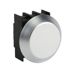 Schmersal 101161887 Pushbutton Style Blind Plug Chrome Plated