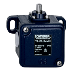 Schmersal 101163278 Position Switch Plunger 1NO-1NC Grey Cast Iron Galvanized Silver Contact