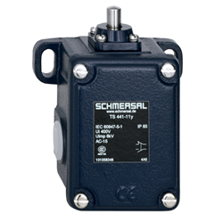 Schmersal 101169605 Position Switch Plunger Grey Cast Iron Galvanized Silver Contact