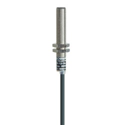 Schmersal 101186837 Magnetic Reed Switch 1m L Cable 1A BP 10 Cable Terminal