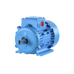ABB 3GBA102810-ASD Low Voltage Motor IEC 100 Cast Iron 4P 3PH 3kW 400V B3 Foot Mount IP66
