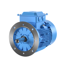 ABB 3GBA182420-BDF Low Voltage Motor IEC 180 Cast Iron 4P 3PH 22kW 400V Large Flange Mounting IP66