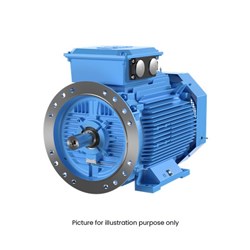 ABB 3GBA201410-HDF Low Voltage Motor IEC 200 Cast Iron 2P 3PH 30kW 400V Foot Large Flange Mounting IP66