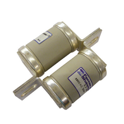 MERSEN FUSE LINK 300A 250V CENTER TAG DUAL BODY SEMICONDUCTOR  K082464