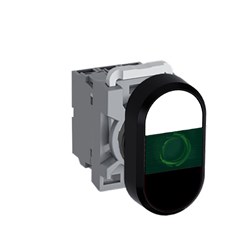 ABB MPDIFGWB620 Illuminated Double Pushbutton Kit Flush/Flush Green White/Black 220VDC 2NO LED Block
