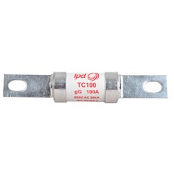 IPD TC100 Fuse Link 100A 690VAC 80kA 111mm gG For: RS200/CM/CMS200