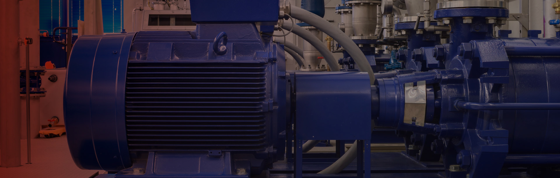 <h2>Motors, Variable Speed Drives &amp; Soft Starters for motor starting applications</h2>
<p>IPD offers a complete range of motor control and protection products to support reliable electric motor operation across industrial and commercial systems. Our solutions are designed to meet the needs of mechanical services, electrical engineers, OEMs and maintenance teams working with pumps, conveyors, fans and machinery.</p>
<p>For product selection support or application advice,&nbsp;<a target="_blank" href="/contact-us" rel="noopener">get in touch with our team.</a></p>